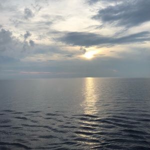 Meet your Posher, Debby